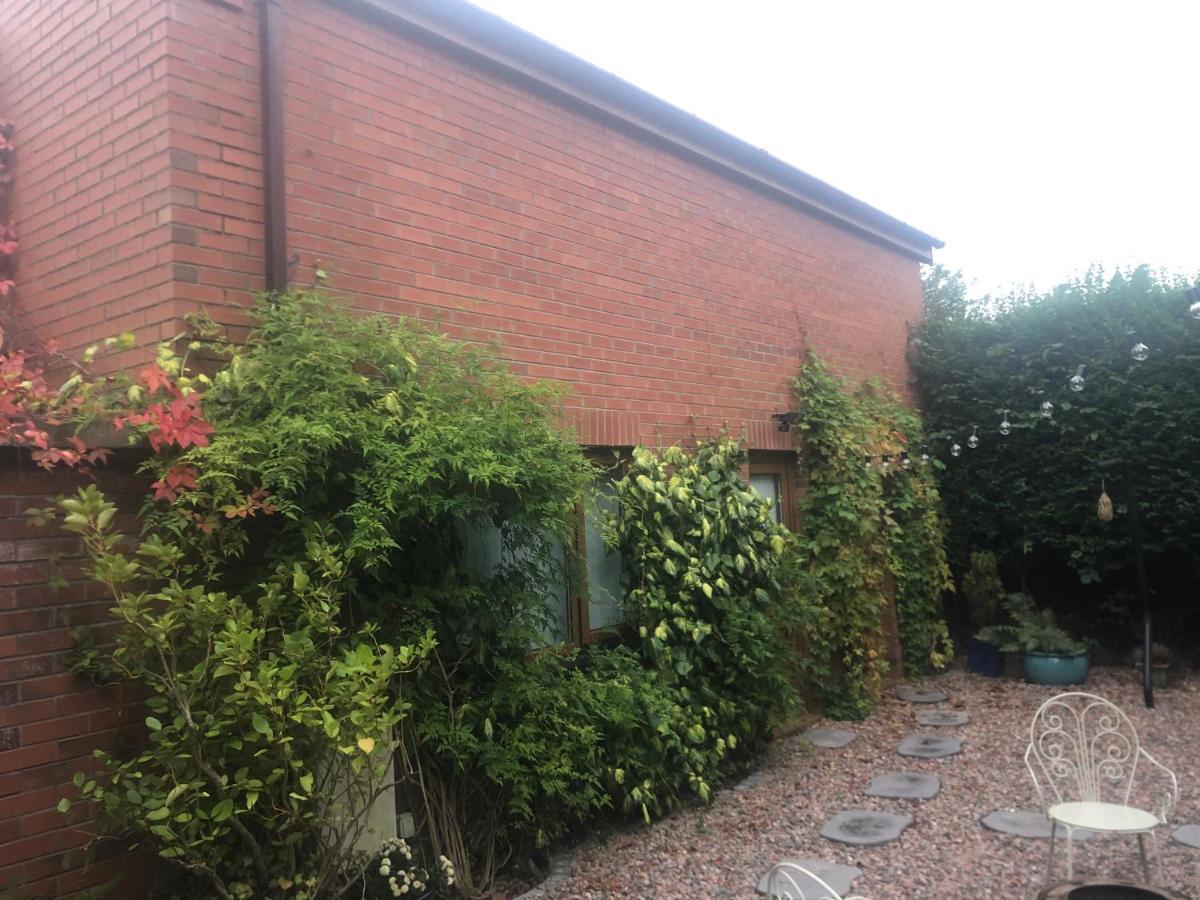 Ferienwohnung Self Contained Coach House In Leafy South Belfast The Location Is Not Accurate Exterior foto